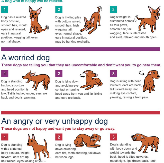 Screen Shot 2015-05-25 at 12.46.30